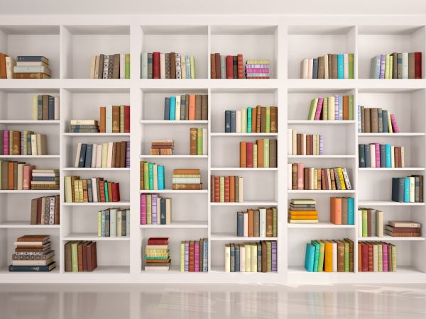 Bookshelf Assembly in Everett