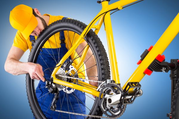 Bike Assembly in Everett