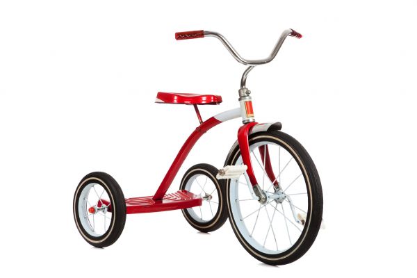 Tricycle Assembly in Everett