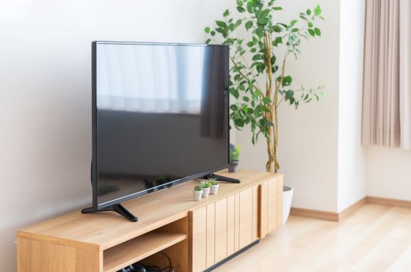 TV Stand Assembly in Everett